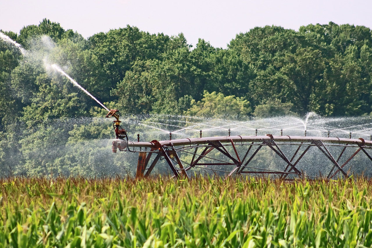 Irrigation spray nozzles in action