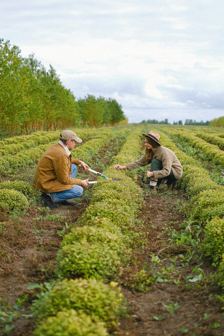 Farmers